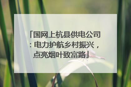国网上杭县供电公司：电力护航乡村振兴，点亮烟叶致富路