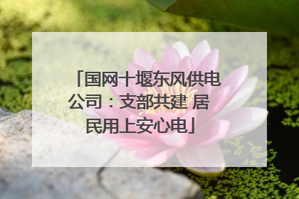国网十堰东风供电公司：支部共建 居民用上安心电