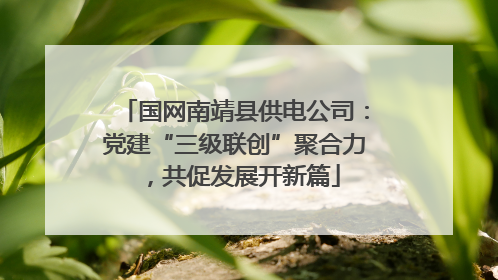 国网南靖县供电公司：党建“三级联创”聚合力，共促发展开新篇