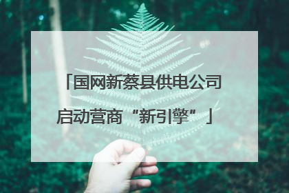 国网新蔡县供电公司启动营商“新引擎”