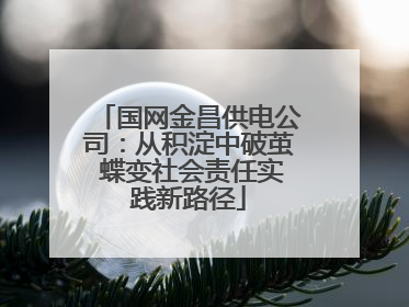 国网金昌供电公司：从积淀中破茧 蝶变社会责任实践新路径
