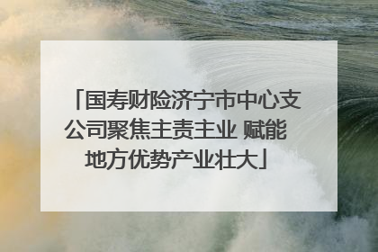 国寿财险济宁市中心支公司聚焦主责主业 赋能地方优势产业壮大