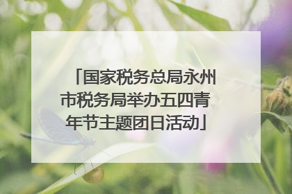 国家税务总局永州市税务局举办五四青年节主题团日活动