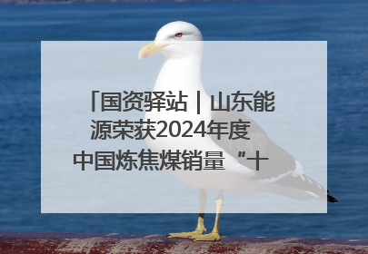 国资驿站｜山东能源荣获2024年度中国炼焦煤销量“十强”；全国首例铁路盖上智慧物流园钢结构主体完工