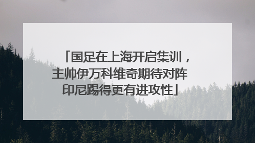 国足在上海开启集训，主帅伊万科维奇期待对阵印尼踢得更有进攻性