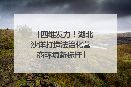 四维发力！湖北沙洋打造法治化营商环境新标杆