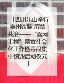 四川乐山举行嘉州铁腕 厉禁共治——“嘉网工程”禁毒社会化工作暨毒品集中销毁启动仪式