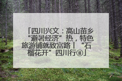 四川兴文：高山苗乡“避暑经济”热，特色旅游铺就致富路丨“石榴花开”四川行⑧