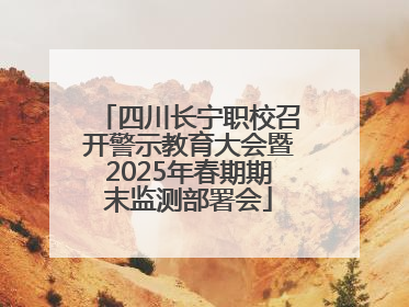 四川长宁职校召开警示教育大会暨2025年春期期末监测部署会