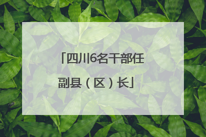 四川6名干部任副县（区）长