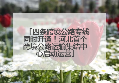 四条跨境公路专线同时开通！河北首个跨境公路运输集结中心启动运营