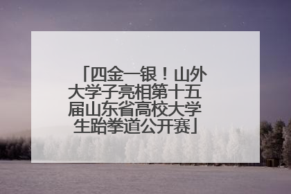 四金一银！山外大学子亮相第十五届山东省高校大学生跆拳道公开赛
