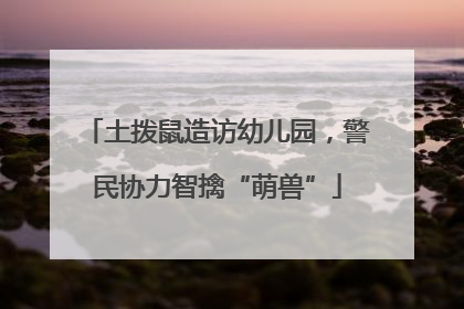 土拨鼠造访幼儿园，警民协力智擒“萌兽”