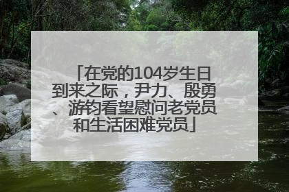 在党的104岁生日到来之际，尹力、殷勇、游钧看望慰问老党员和生活困难党员
