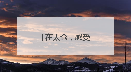 在太仓，感受非遗传承的“硬核浪漫”