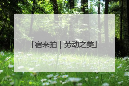 宿来拍｜劳动之美