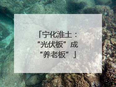 宁化淮土：“光伏板”成“养老板”