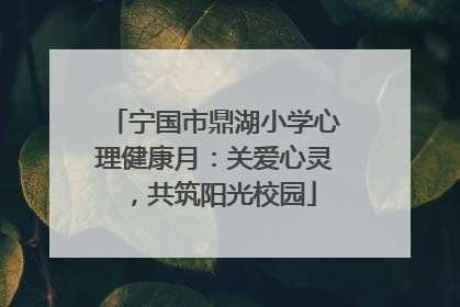 宁国市鼎湖小学心理健康月：关爱心灵，共筑阳光校园