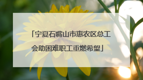 宁夏石嘴山市惠农区总工会助困难职工重燃希望