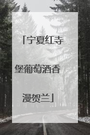 宁夏红寺堡葡萄酒香漫贺兰
