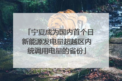 宁夏成为国内首个日新能源发电量超越区内统调用电量的省份