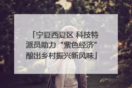 宁夏西夏区 科技特派员助力“紫色经济”酿出乡村振兴新风味