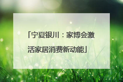 宁夏银川：家博会激活家居消费新动能