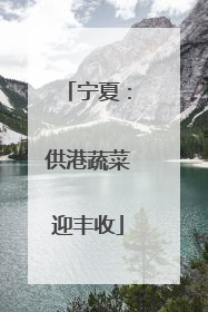 宁夏：供港蔬菜迎丰收