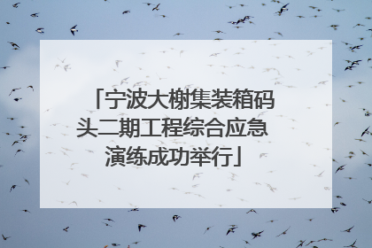 宁波大榭集装箱码头二期工程综合应急演练成功举行