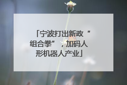 宁波打出新政“组合拳”，加码人形机器人产业
