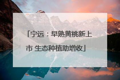 宁远：早熟黄桃新上市 生态种植助增收