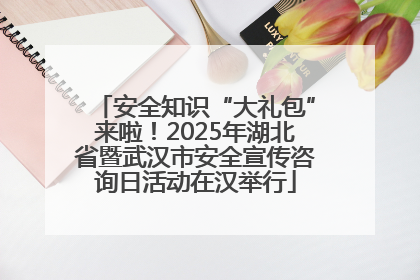安全知识“大礼包”来啦！2025年湖北省暨武汉市安全宣传咨询日活动在汉举行