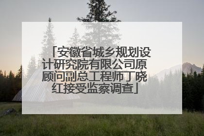 安徽省城乡规划设计研究院有限公司原顾问副总工程师丁晓红接受监察调查