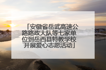 安徽省岳武高速公路路政大队等七家单位到岳西县特教学校开展爱心志愿活动