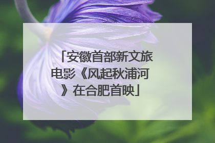安徽首部新文旅电影《风起秋浦河》在合肥首映