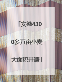 安徽4300多万亩小麦大面积开镰