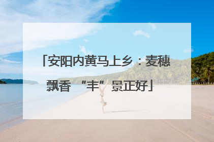 安阳内黄马上乡：麦穗飘香 “丰”景正好