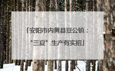 安阳市内黄县豆公镇：“三夏”生产有实招