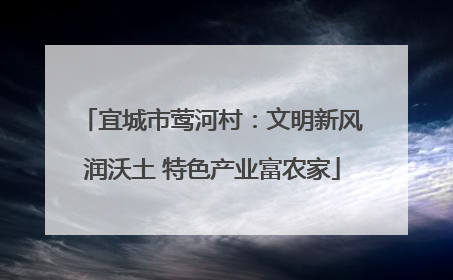 宜城市莺河村：文明新风润沃土 特色产业富农家