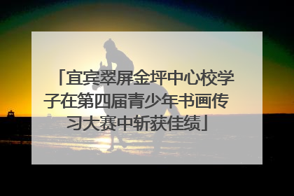 宜宾翠屏金坪中心校学子在第四届青少年书画传习大赛中斩获佳绩
