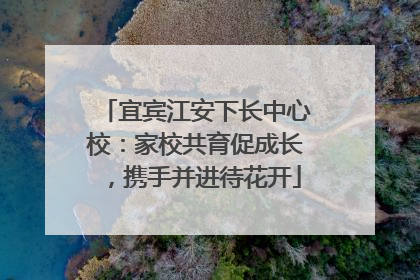 宜宾江安下长中心校：家校共育促成长，携手并进待花开