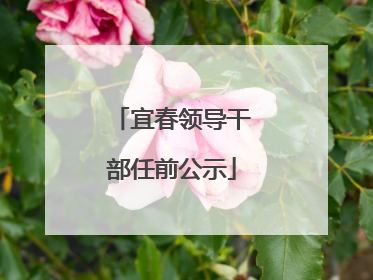 宜春领导干部任前公示