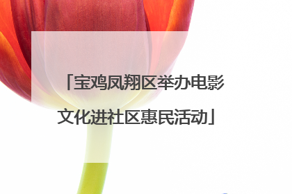 宝鸡凤翔区举办电影文化进社区惠民活动