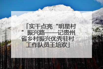 实干点亮“明星村”振兴路——记贵州省乡村振兴优秀驻村工作队员王培欢