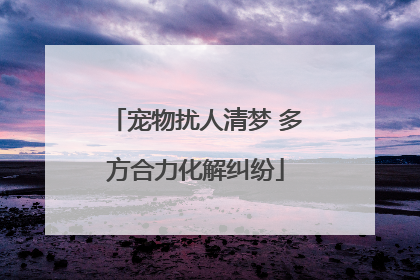 宠物扰人清梦 多方合力化解纠纷