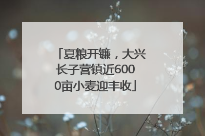夏粮开镰，大兴长子营镇近6000亩小麦迎丰收