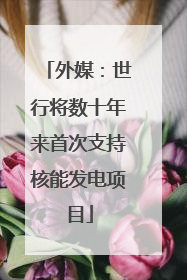 外媒：世行将数十年来首次支持核能发电项目