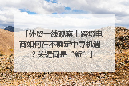 外贸一线观察丨跨境电商如何在不确定中寻机遇？关键词是“新”