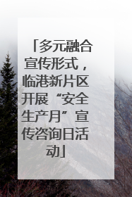 多元融合宣传形式，临港新片区开展“安全生产月”宣传咨询日活动