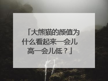 大熊猫的颜值为什么看起来一会儿高一会儿低？